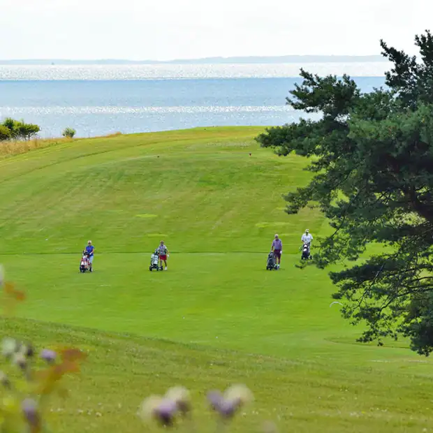 Den grønne golfbane